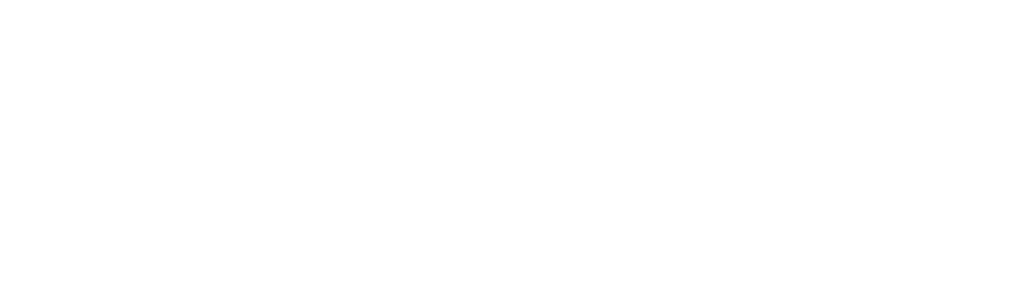 logo_in_signia